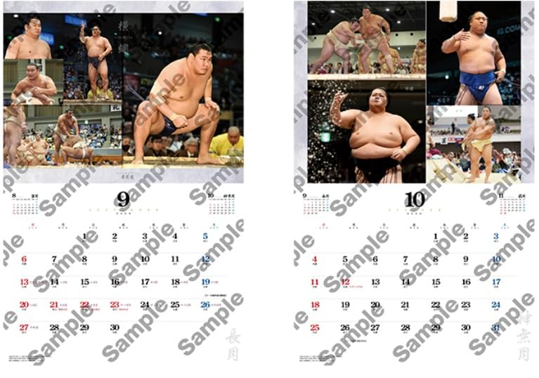 Amazon | 令和八年 大相撲カレンダー 2026年版 令和8年 壁掛け